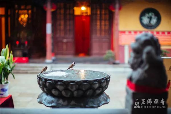 生活压力大怎么办最有效的解决,生活压力山大解决方案