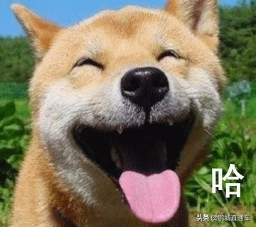 想摆地摊到哪里去进货比较好,想摆地摊去哪里进货