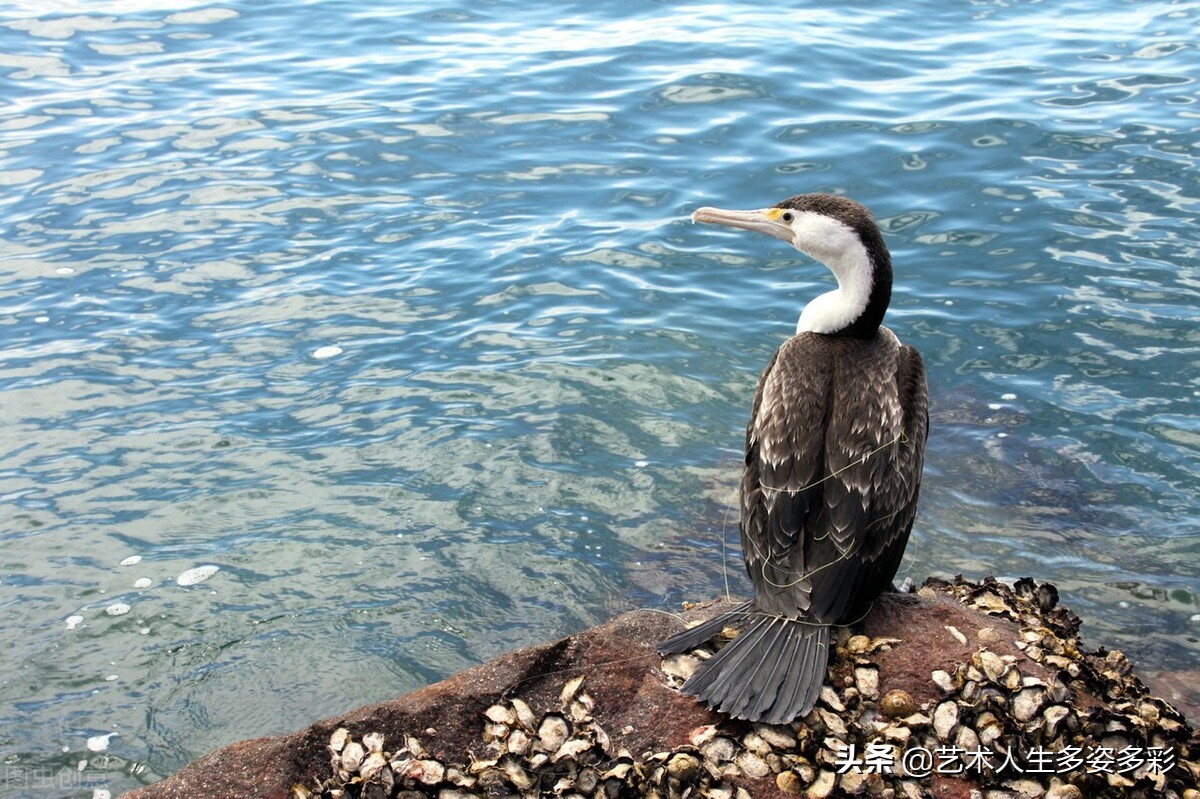 我是一条幸福的蚯蚓结尾,我是一条幸福的蚯蚓作文
