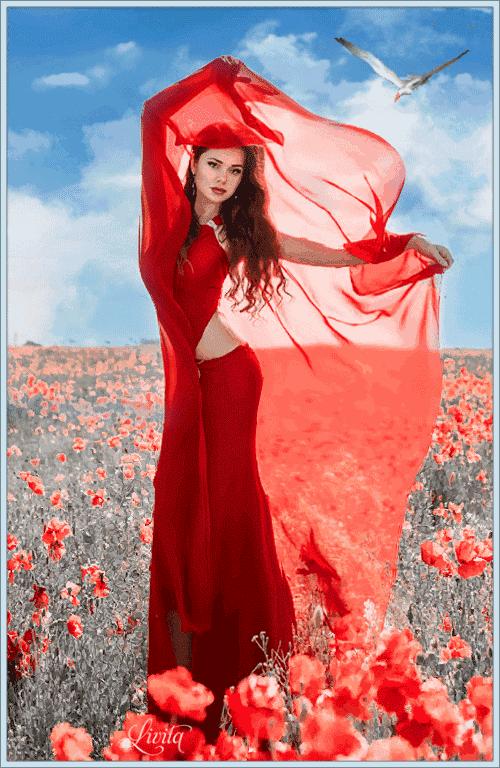 世界是你的也是我的但终归是你的,世界是你的也是我们的