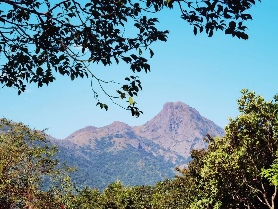 香港马鞍山游玩,香港马鞍山旅游攻略