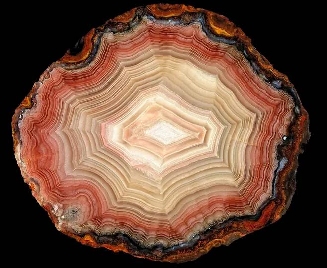 交融|希波战争下珠宝的奥林匹克竞赛