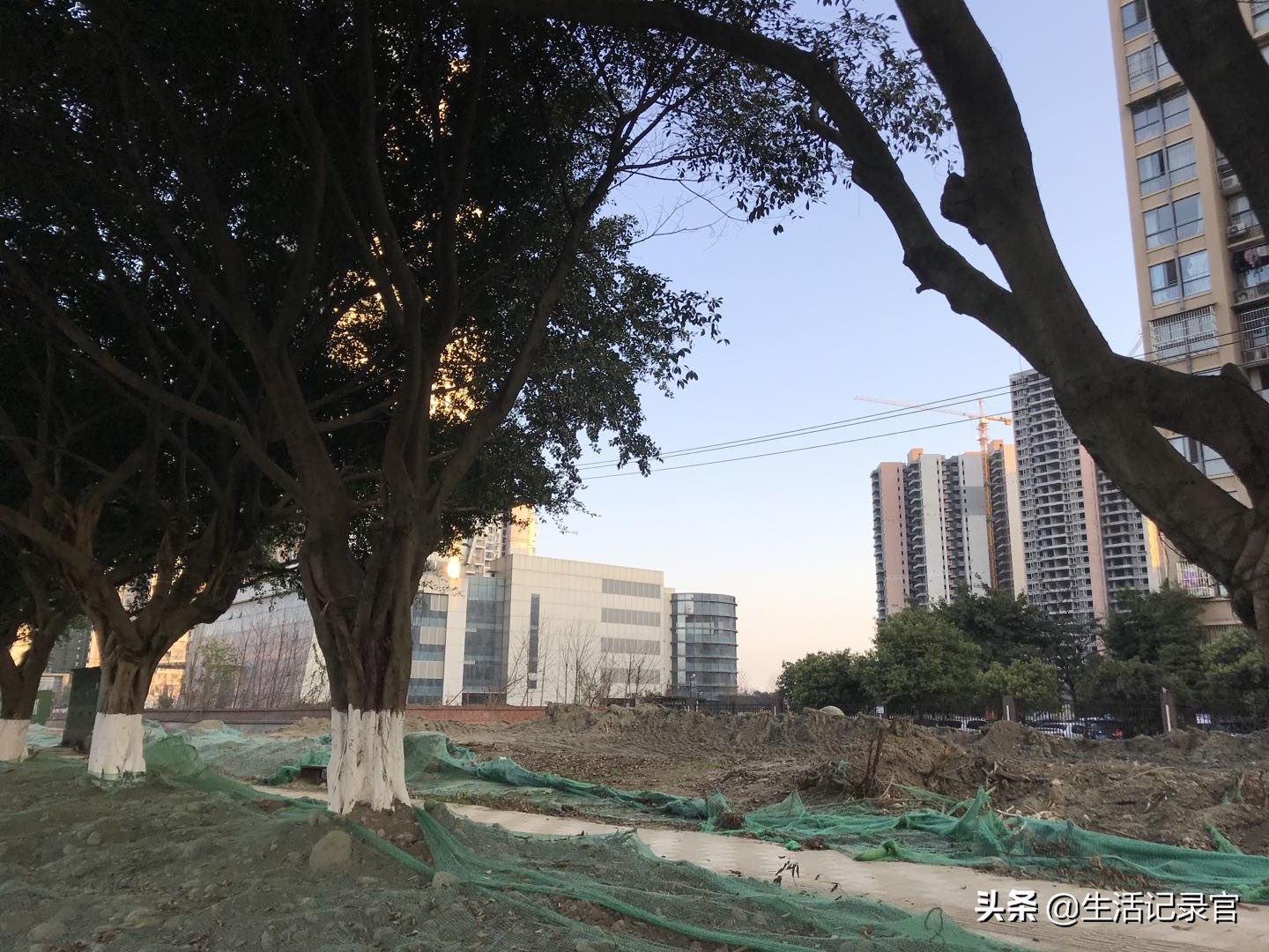 新都龙桥龙腾卓悦里商业综合体,新都港式商业综合体