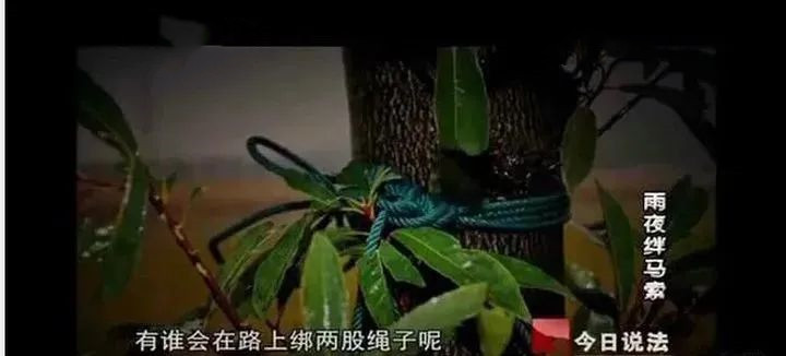 今日说法十大奇案第一集,今日说法10大奇案