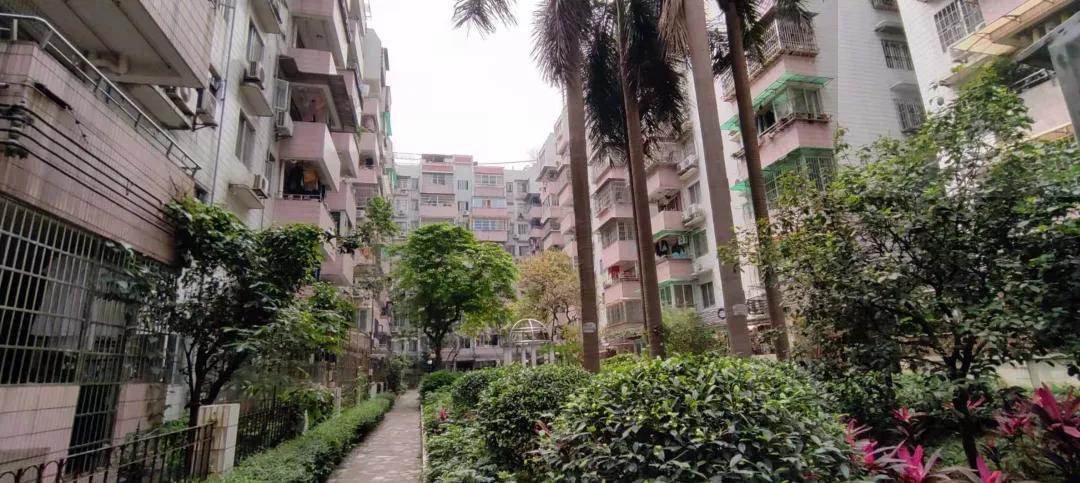 广州海珠区东晓南看房视频,广州东晓南看房