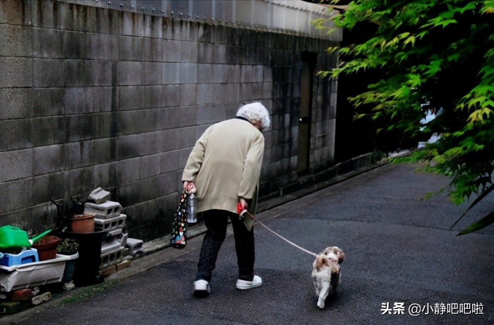 日本你不知道的冷知识,你不知道的国家冷知识日本篇