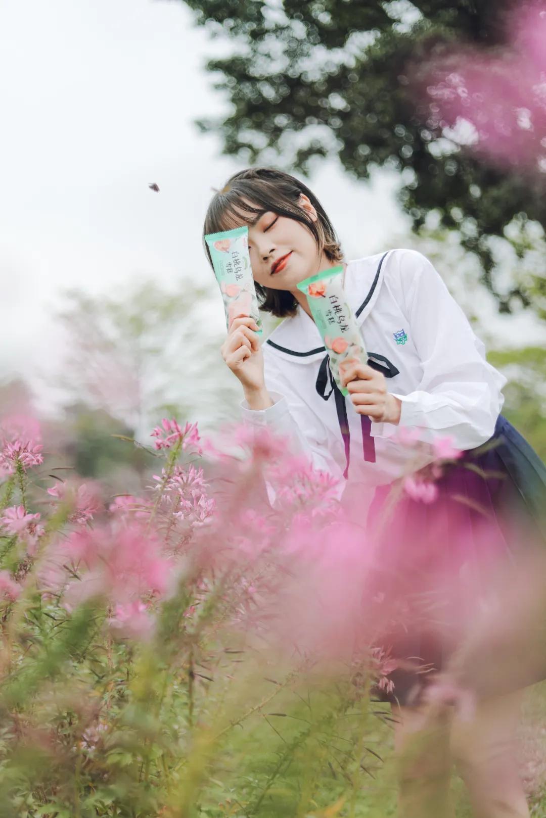 明治白桃乌龙雪糕盒装多少钱,明治雪糕最新款