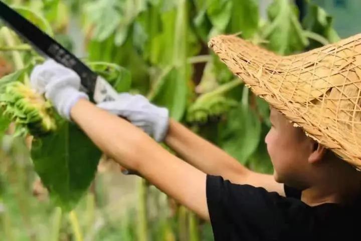 杭州小学生暑期托管服务,开学第一天小学托管