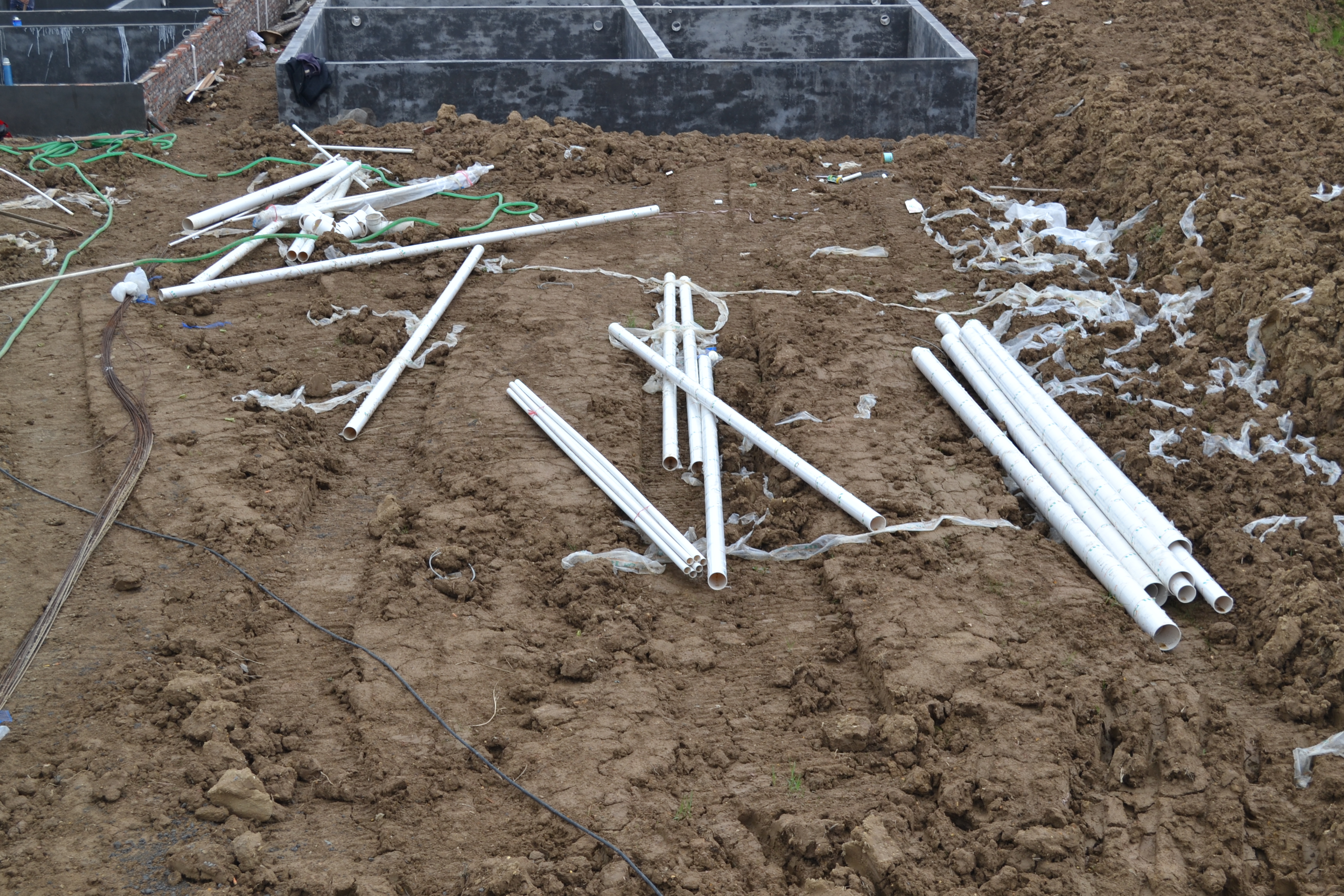 湖南最好的锦鲤养殖基地,湘潭锦鲤养殖