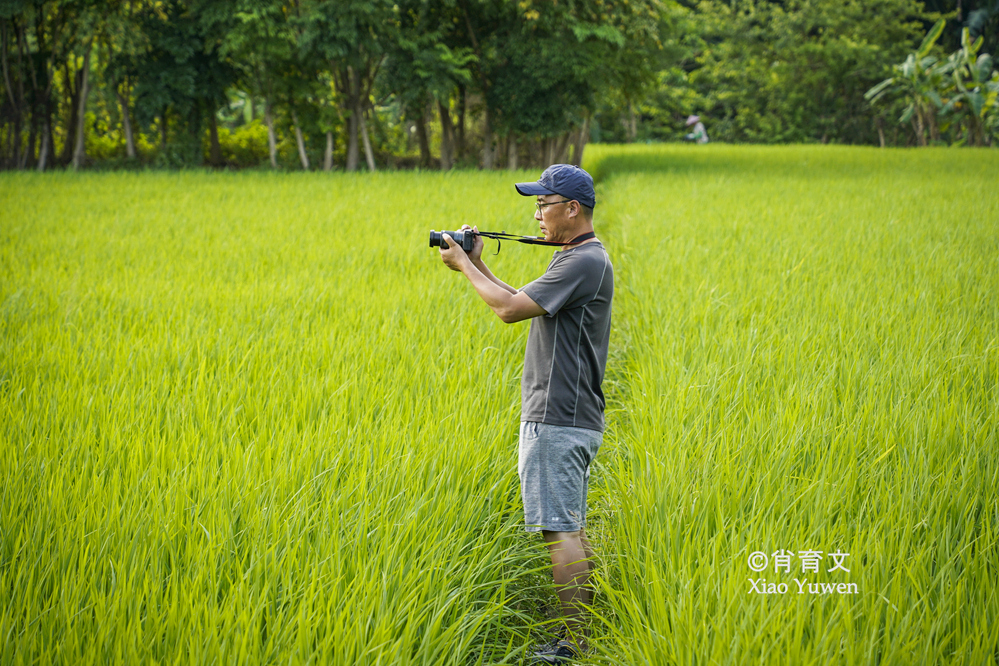 袁隆平五彩田园,广西五彩田园现代农业园区