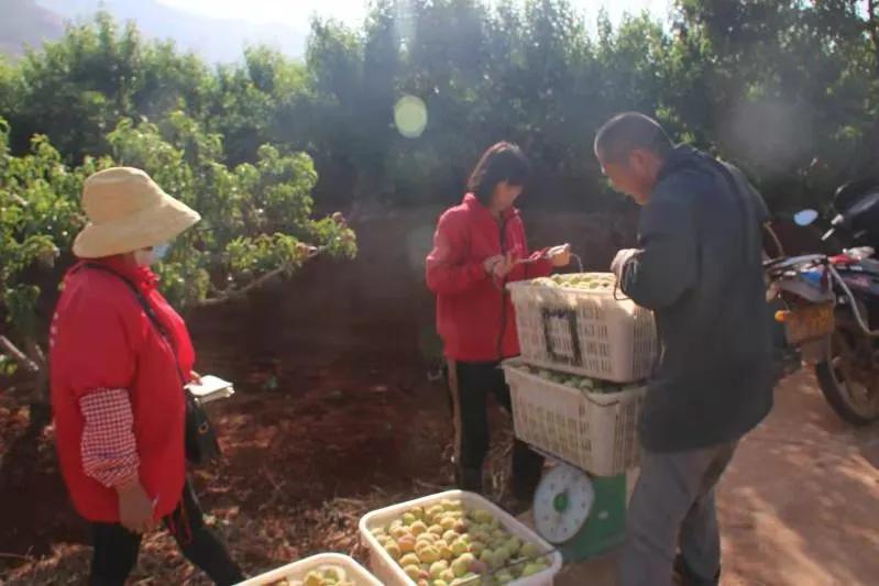 测土配方施肥的四大好处,测土配方施肥技术成本与收益