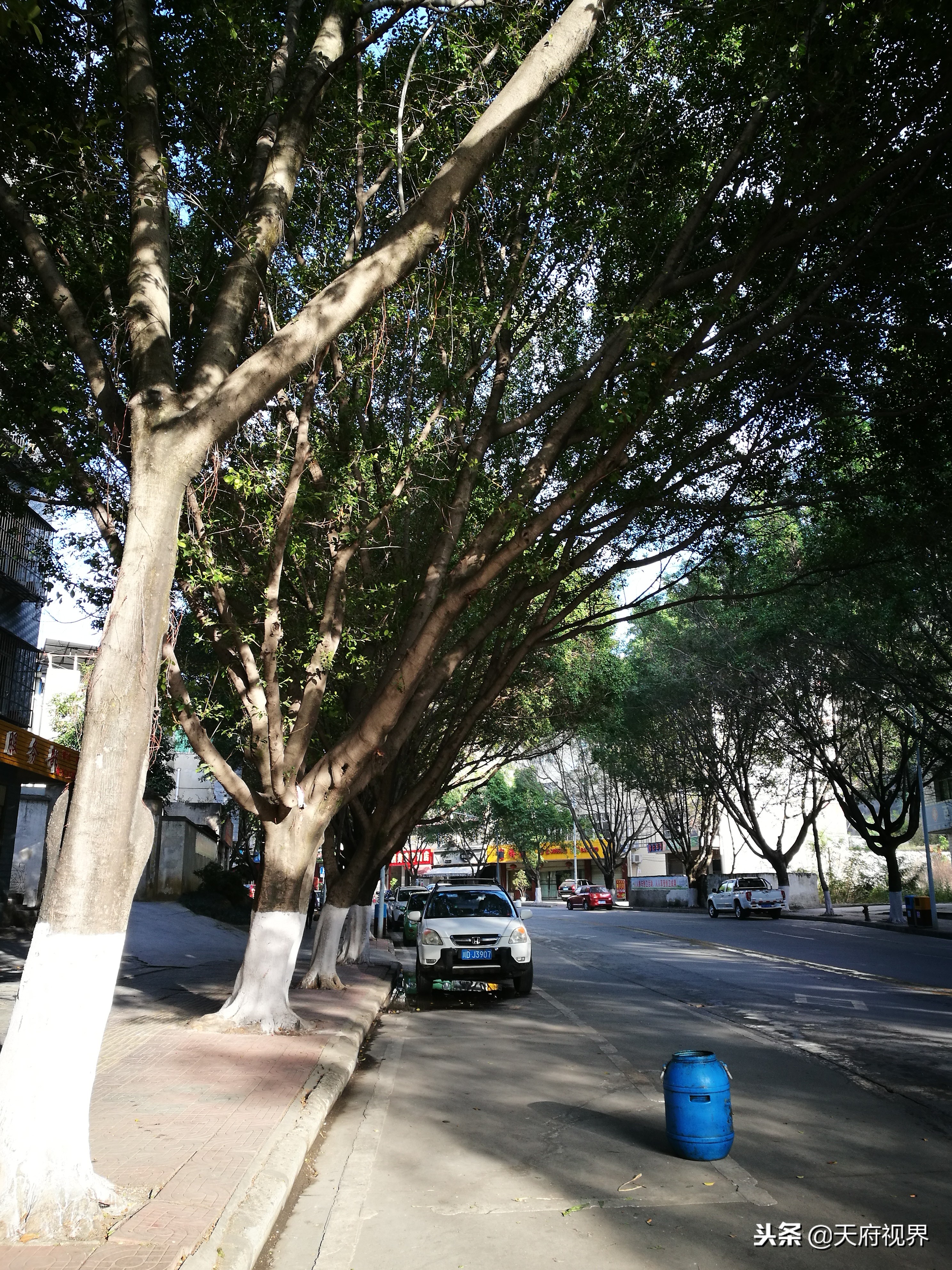 攀枝花盐边县新县城全景,攀枝花盐边县风景区