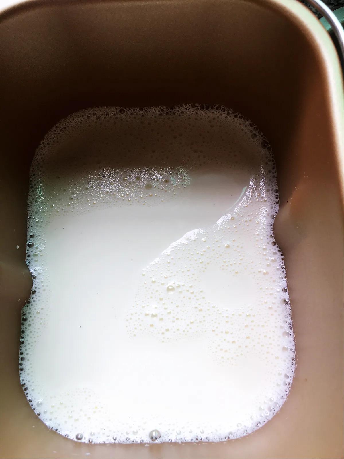 柏翠面包机酸奶发酵,益生菌72小时发酵酸奶