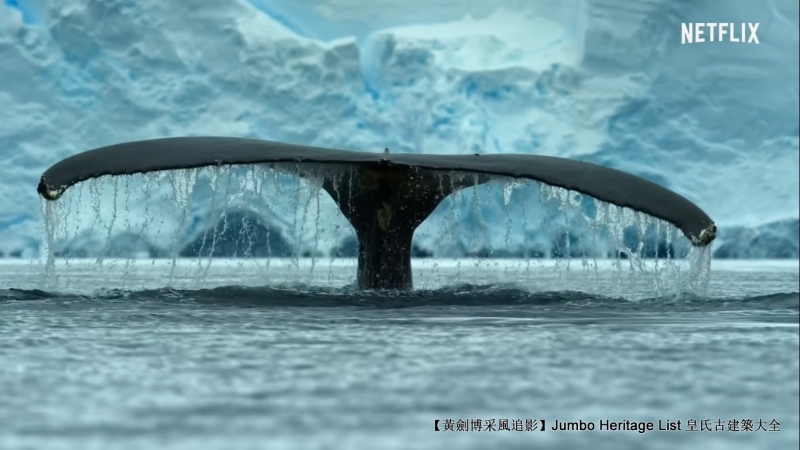 第40次南极科考南极行记,坚忍号的南极探索的纪录片