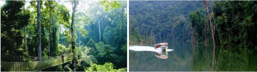 西双版纳景点、门票大全