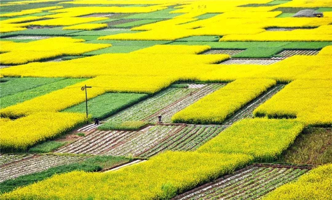 武都的风景大全,武都美丽景色