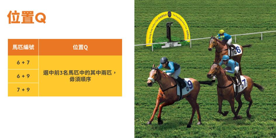 看到香港人玩赛马却不知道怎么玩，半小时教会你！