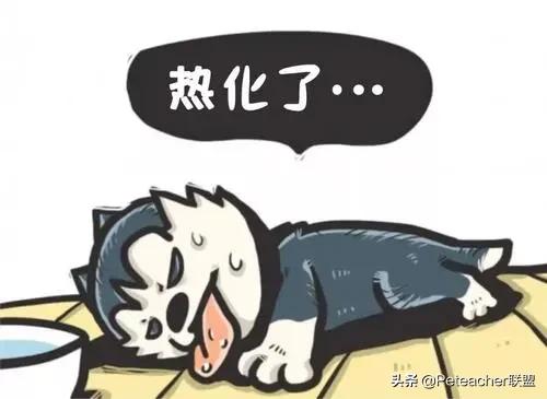 夏天体育课一定要防止小孩中暑,当体育课遇上好天气