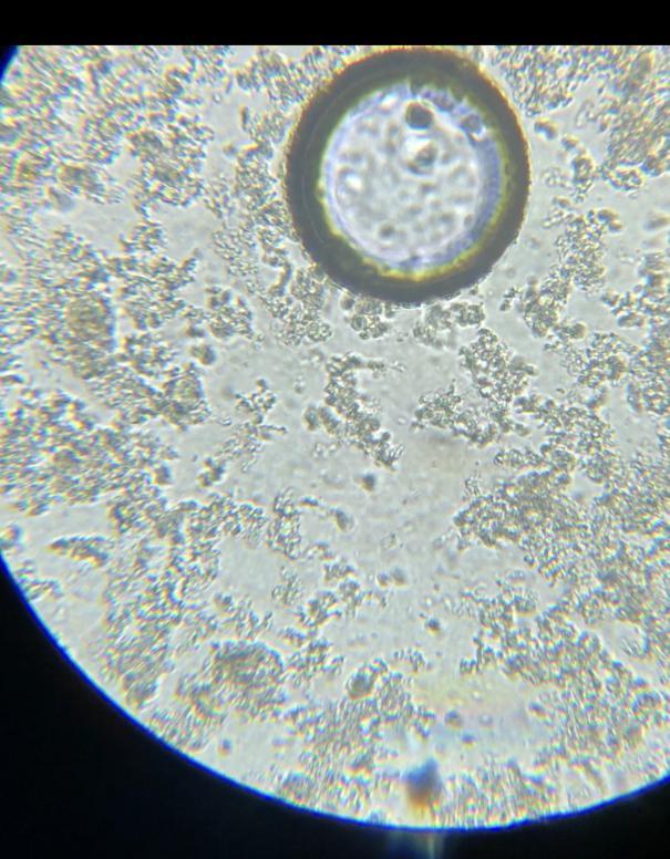 美的ft1净饮机清洗后不净水,美的净饮净水器