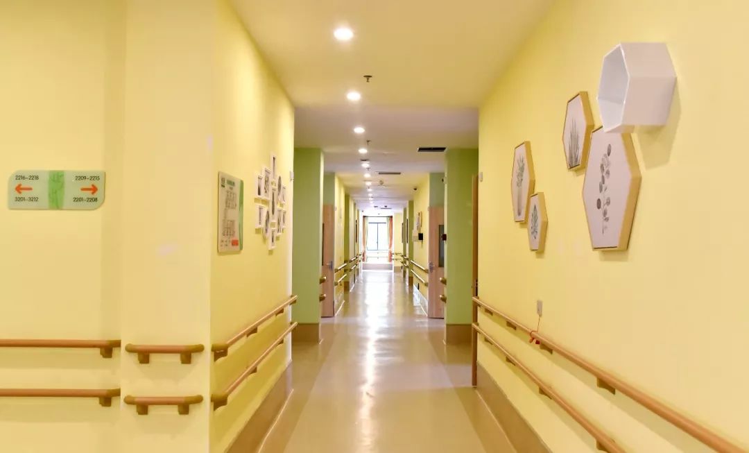 品鉴|繁华都市里的那座世外颐园