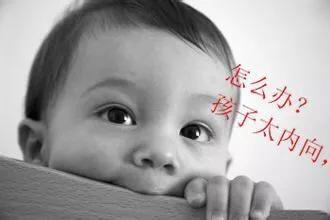 面对胆小孩子怎么办,对于胆小怕人的孩子怎么办