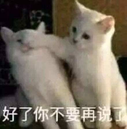 训犬师难不难,当训犬师的真实感受