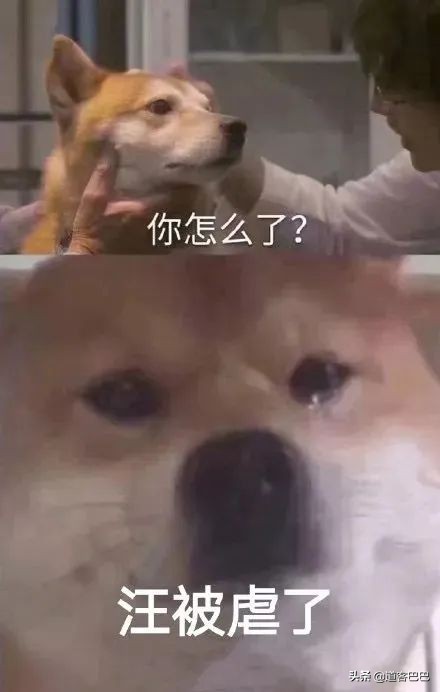 吐血整理！提高工作效率的7款APP，高颜值又好用关键还免费