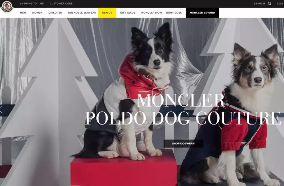 gfg公司上市了吗,gfg集团简介