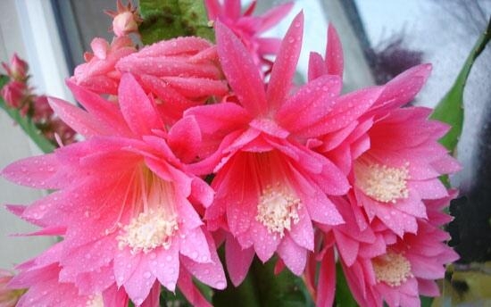 你一无所有的时候你就会东山再起,当你一无所有的时候才幡然悔悟