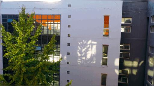 天津普通本科的大学,天津普通高校多少所大学