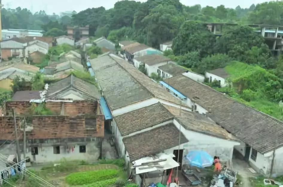 观澜黎光村,黎光村属于观澜还是石岩