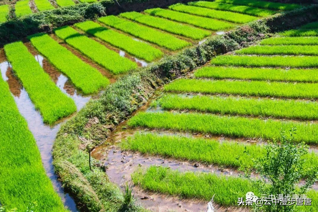 四川岳池黄龙水库,岳池黄龙杨家沟水库