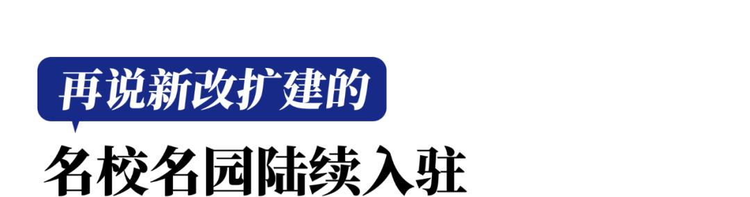 观看国礼之后的感想,国宾板块教育