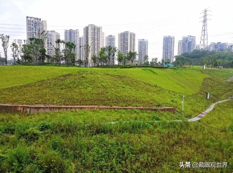 溉澜溪体育公园现在还有花吗,重庆溉澜溪体育公园足球场