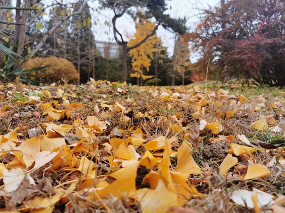 设计师个人简介和设计理念,中国著名设计师作品以及设计理念