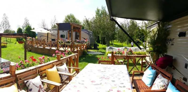 北京菊花花海,北京赏花好去处国际花港