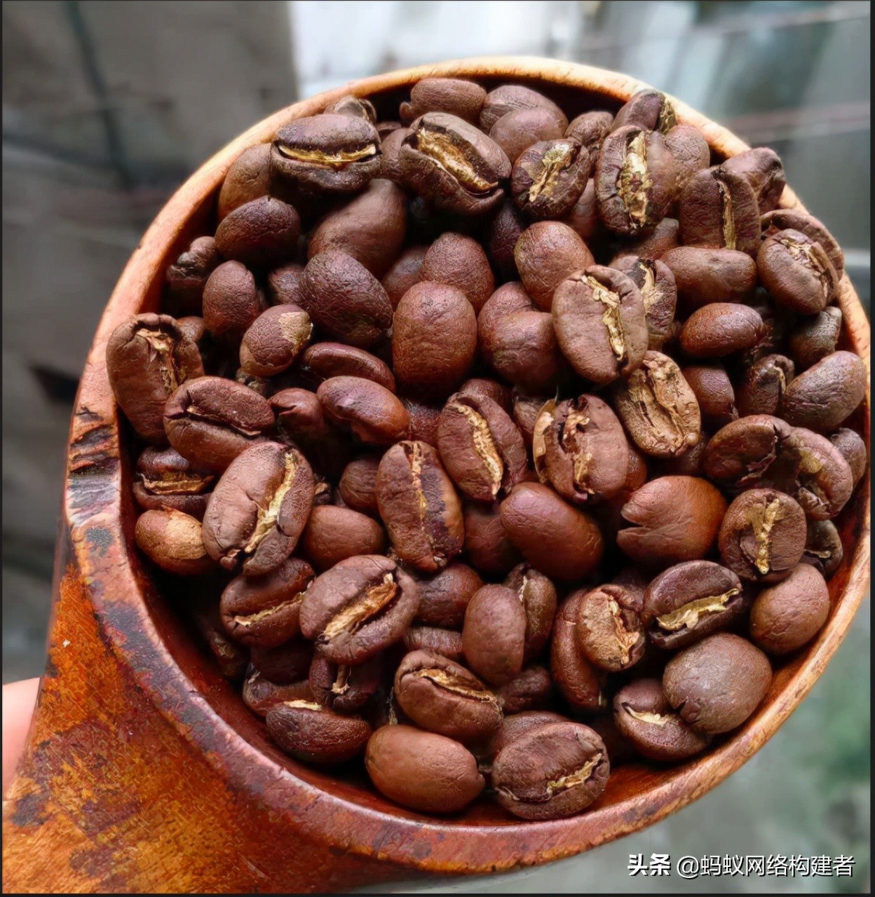 咖啡黑色素含量,咖啡黑色衣服