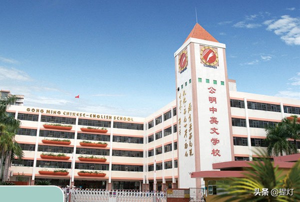 深圳市南山区有哪些民办小学,深圳南山公办小学排名