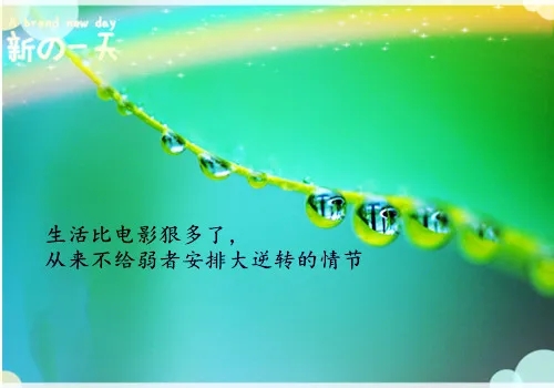 2020年成人高考时间？成教大专，专升本学历提升为什么要提前报名
