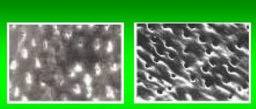 盘点全球9款真正好用的人气牙膏,牙膏界顶流炫白牙膏