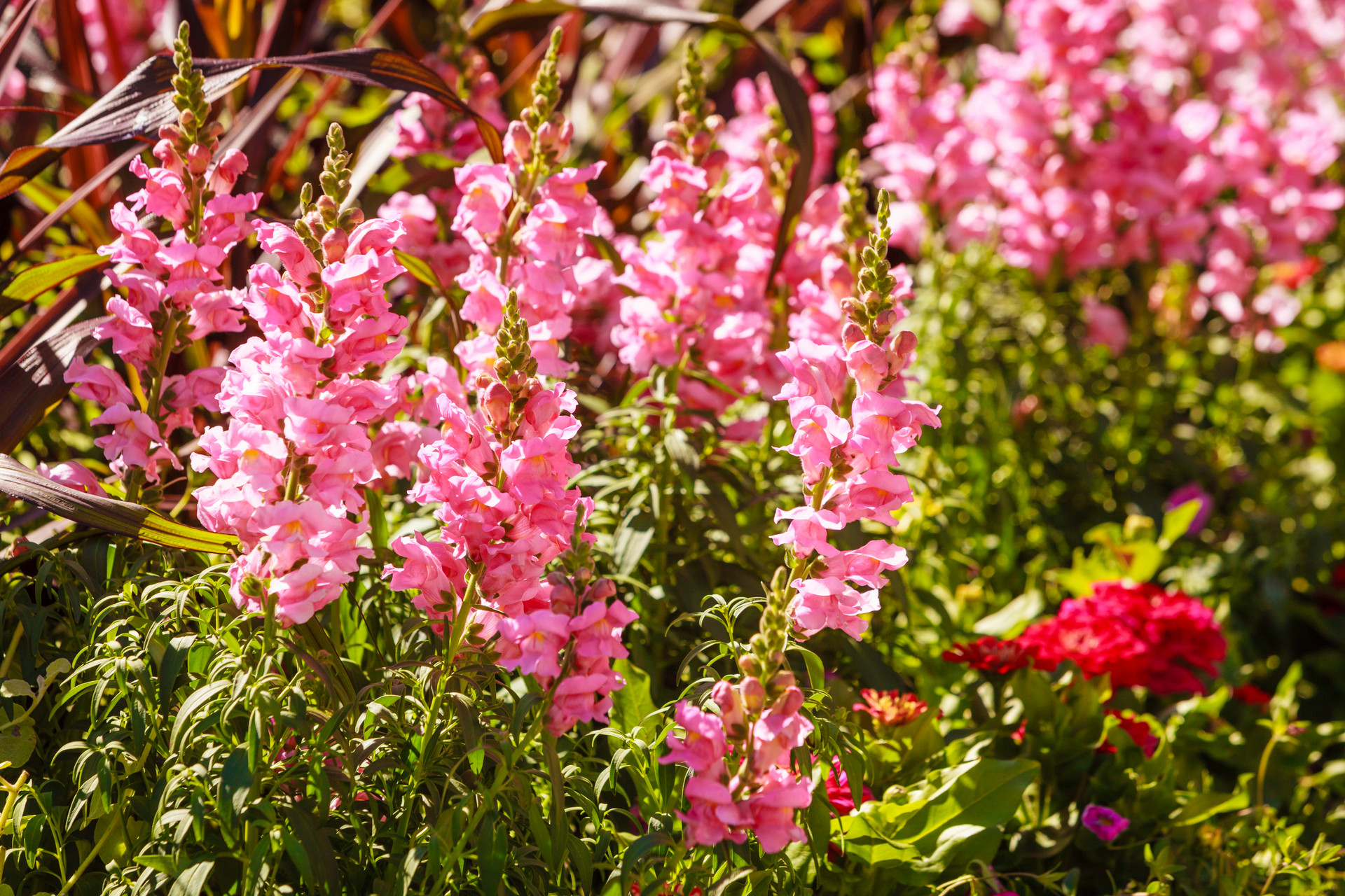 人在有钱时借钱给别人,不要轻易开口向别人借钱