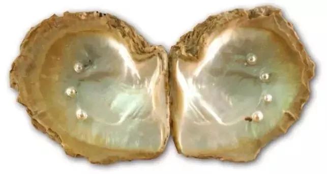 招财平安天珠,能转运聚财的红绳银珠