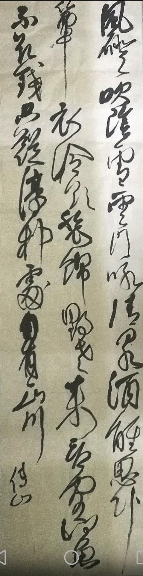 现代书法家华奎,当代书法家华伟