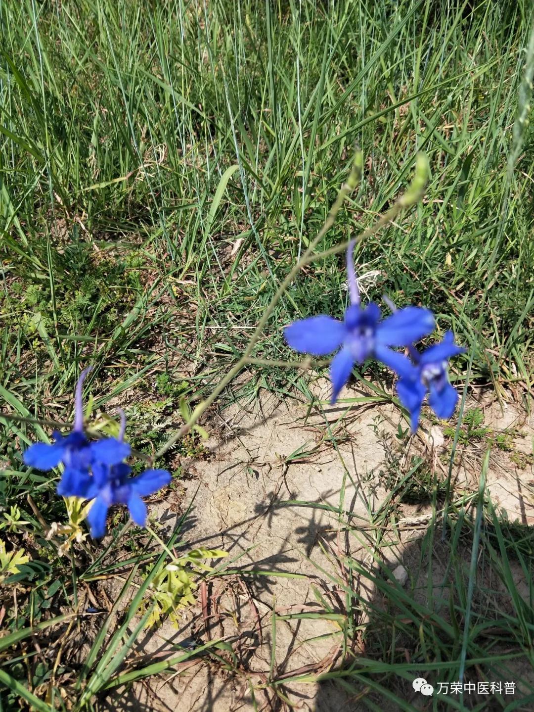 跟我回家在线免费看,跟我回家免费看