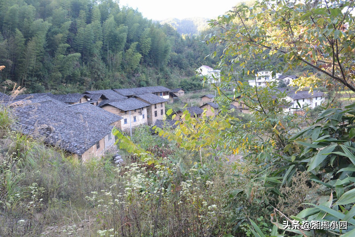 农村兄弟不和到死不来往怎么办,农村亲兄弟十几年不说话怎么办