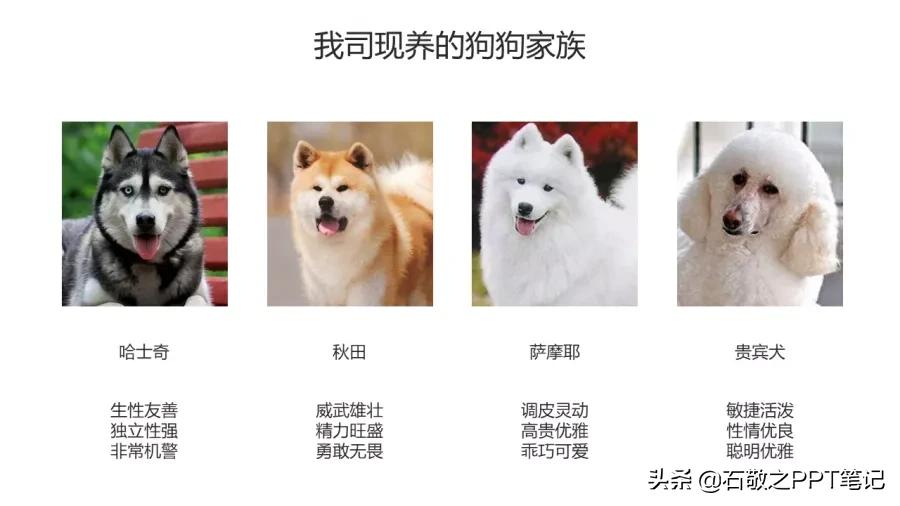 面对一堆渣图怎么办,这样做,废片也能变新颜