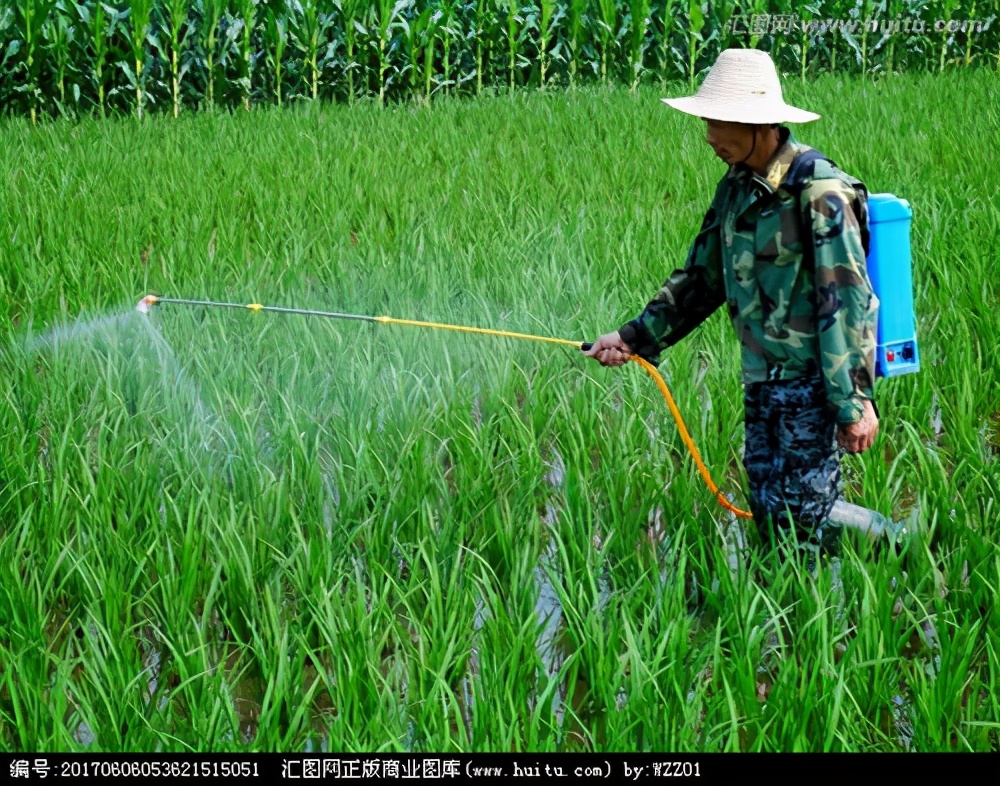 万稼能银离子,万稼能杀菌剂是治疗还是防治