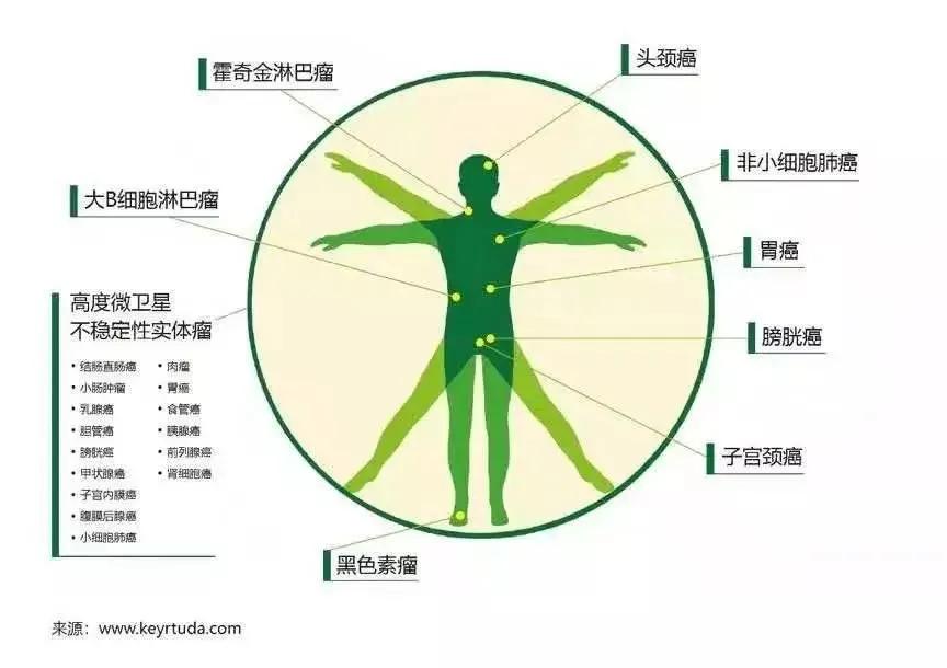 抗癌新药pd-1都治疗什么,pd1抗癌药物排名