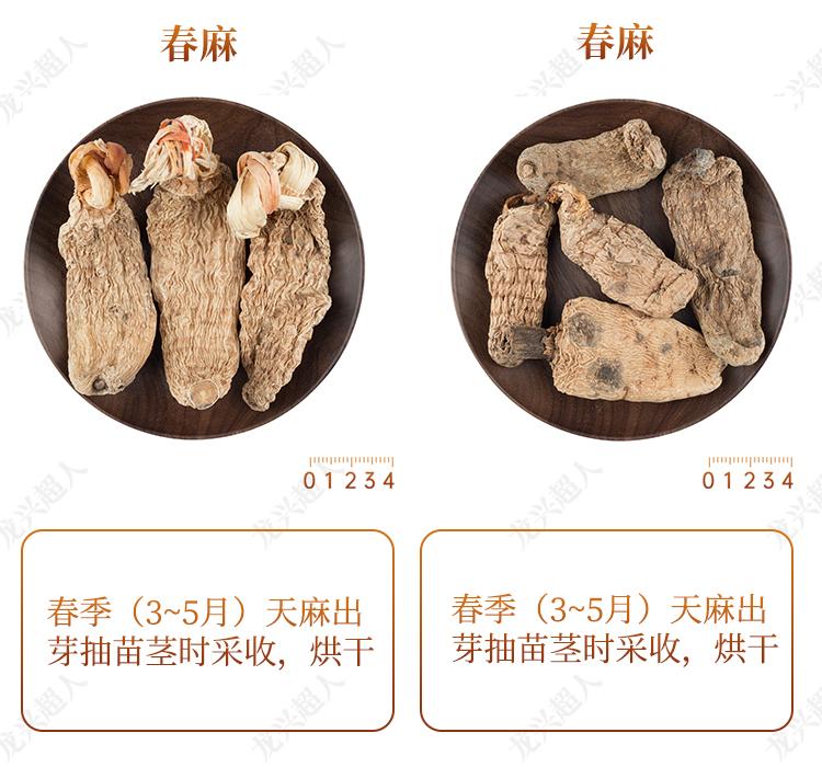 贵州的道地药材天麻,天麻属于哪里的道地药材