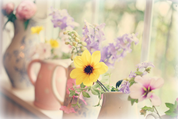 问树辉：总觉得生活没意思，怎么破？